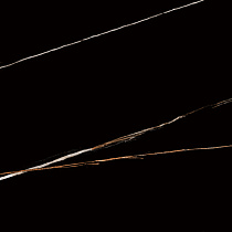 Lawa Black Керамогранит черный 60х120 Полированный