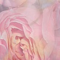 Bouquet Бордюр B200D177 20х4,5