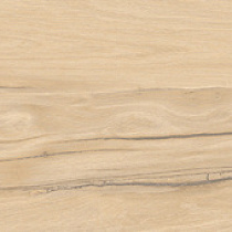 Selva керамогранит бежевый SG517600R 20х119,5