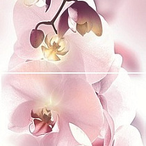 Orchid Панно P2D135 20х60 (из 2-х пл.)